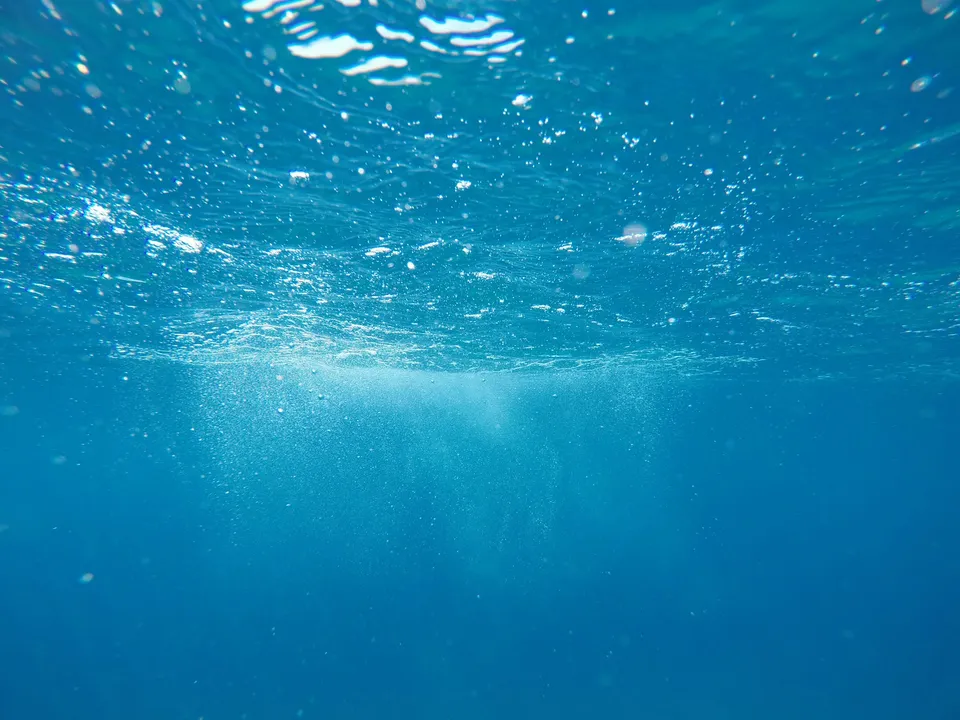 帛琉潛水攻略：藍角掛流鉤、德國水道與大斷層 照片 2
