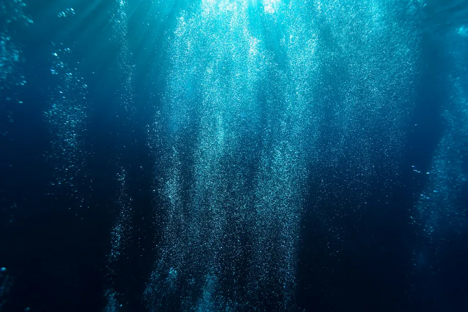 佩尼達島潛水攻略：曼波魚季、Manta Point 與冷水湧升流 照片 2