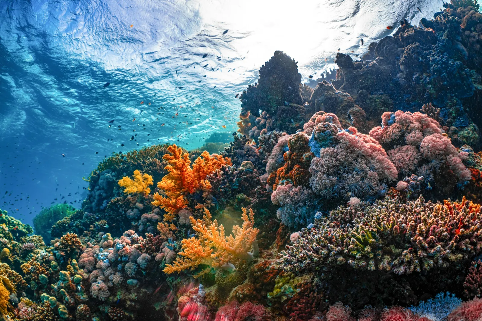 綠島